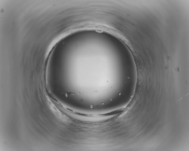 X0000070371530200606161304