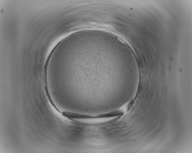 X0000070371531200606161304