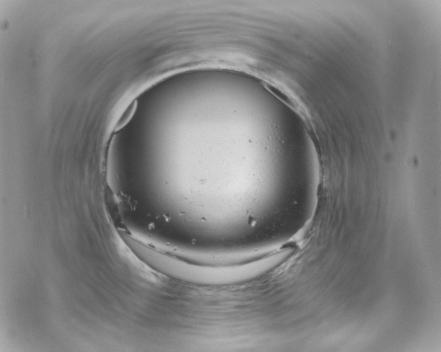 X0000070371532200606161304