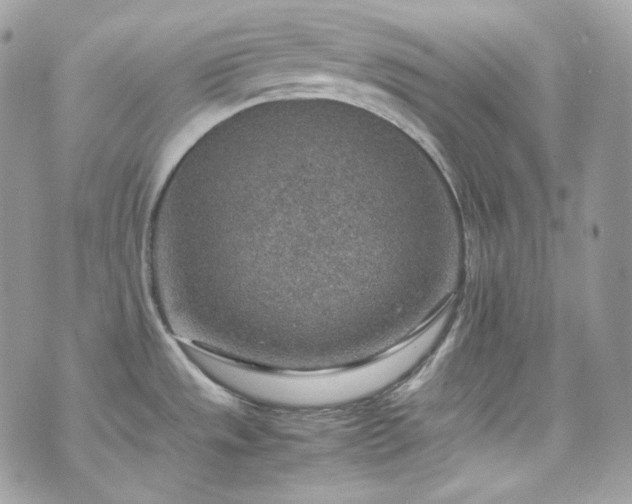 X0000070371533200606161304