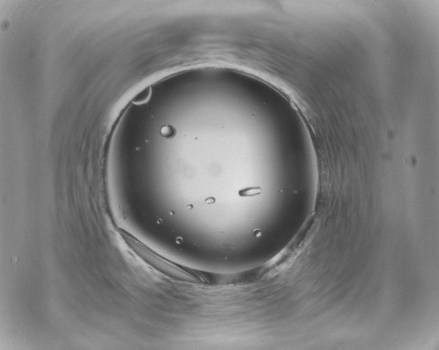 X0000070371534200606161304