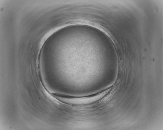 X0000070371535200606161304