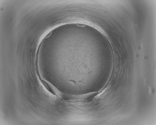 X0000070371536200606161304