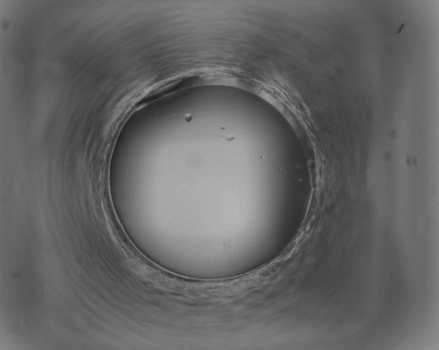 X0000070370001200606231659