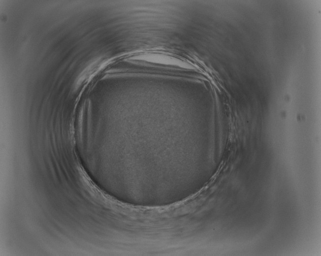 X0000070370002200606231659