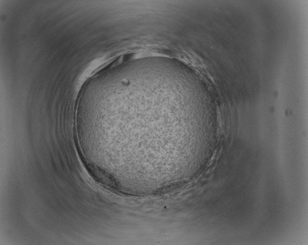 X0000070370003200606231659