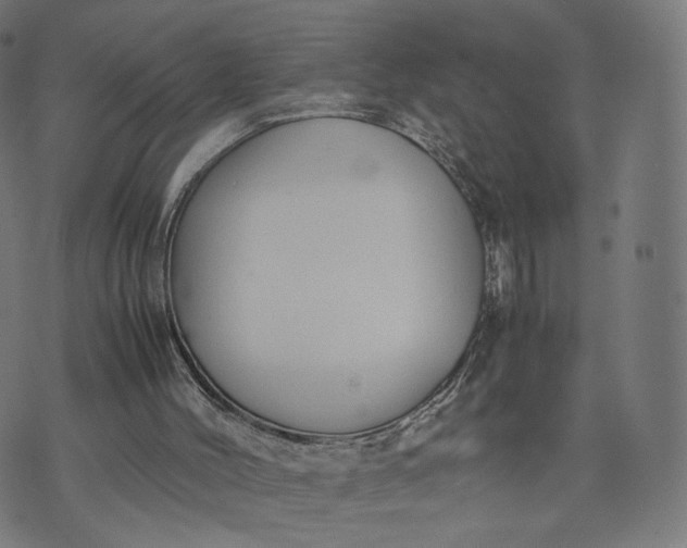 X0000070370004200606231659