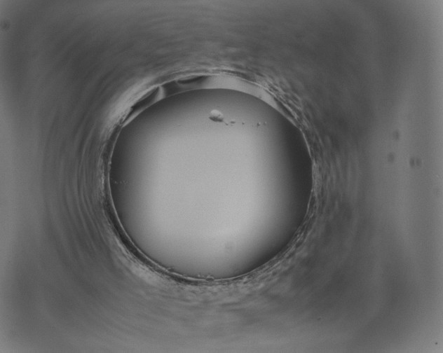 X0000070370005200606231659