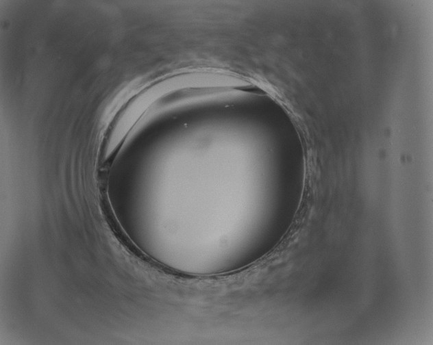 X0000070370007200606231659