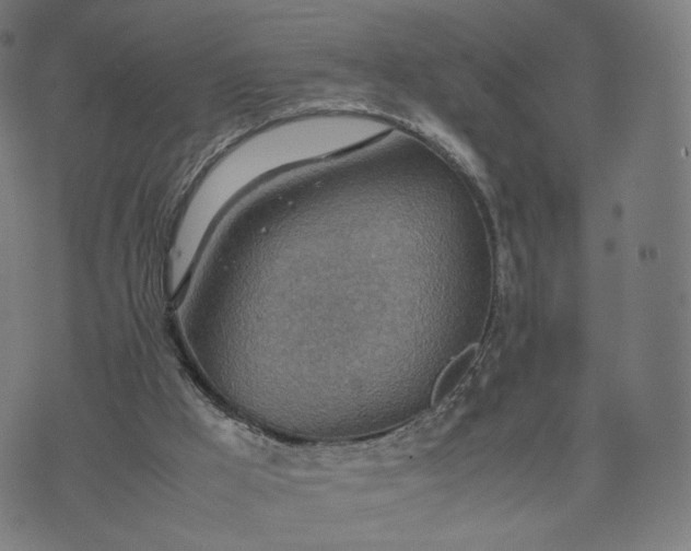 X0000070370009200606231659