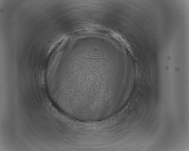 X0000070370010200606231659