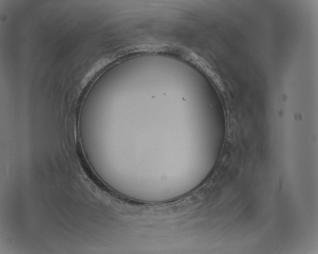 X0000070370011200606231659