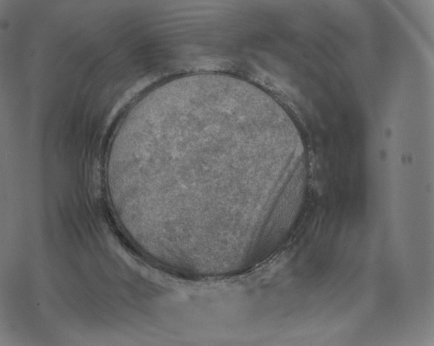 X0000070370012200606231659