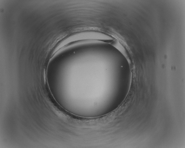 X0000070370013200606231659