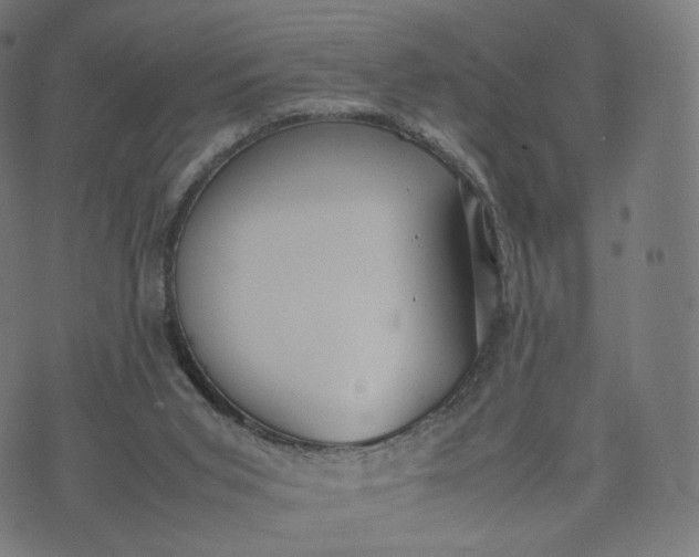 X0000070370015200606231659