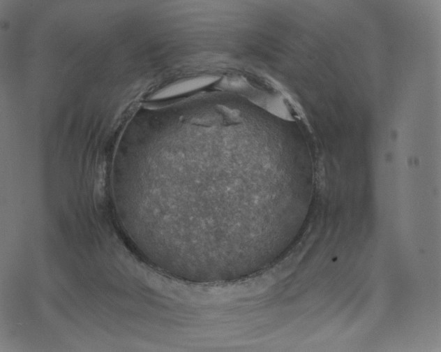 X0000070370018200606231659