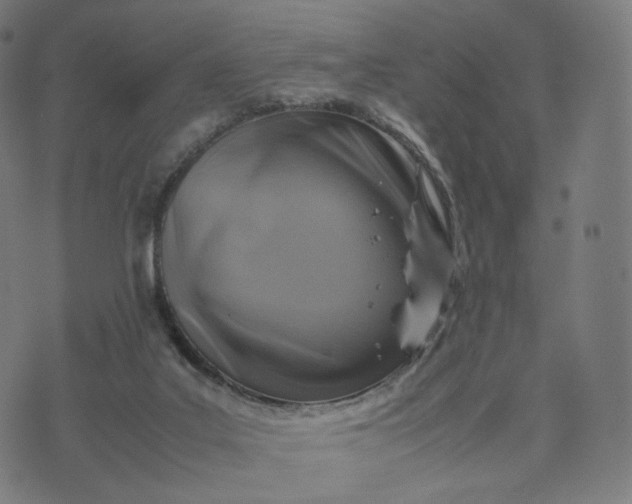 X0000070370019200606231659