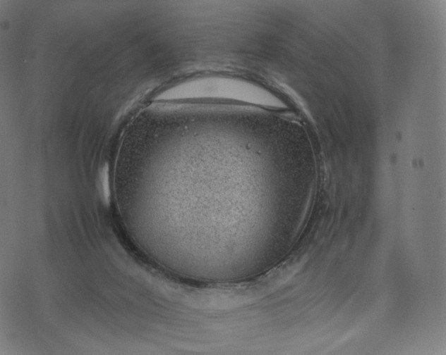 X0000070370020200606231658