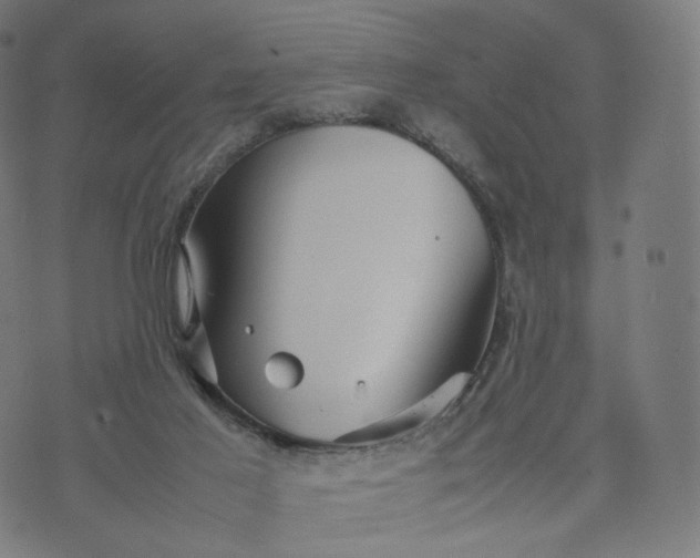 X0000070370021200606231658