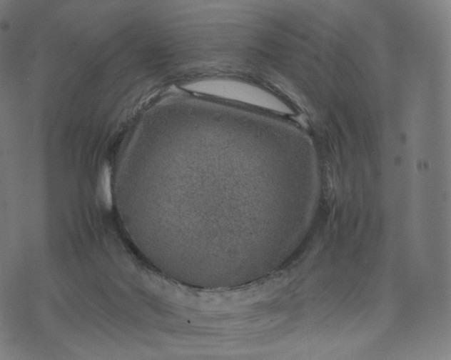 X0000070370022200606231658