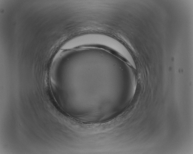 X0000070370023200606231658