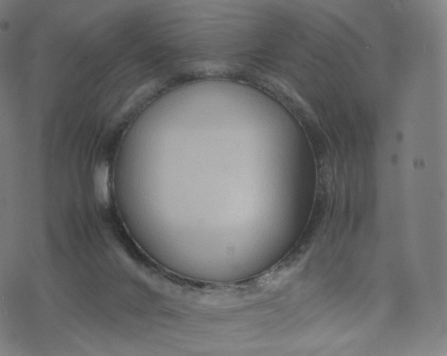 X0000070370024200606231658