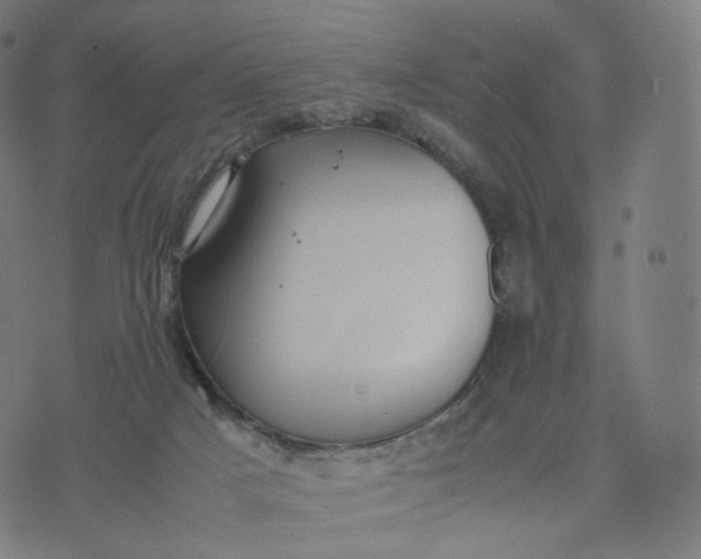 X0000070370025200606231658