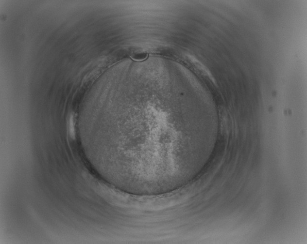 X0000070370026200606231658