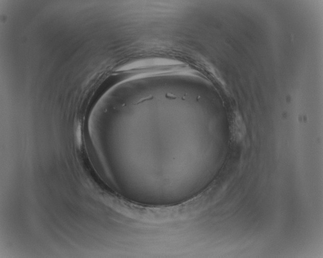 X0000070370027200606231658