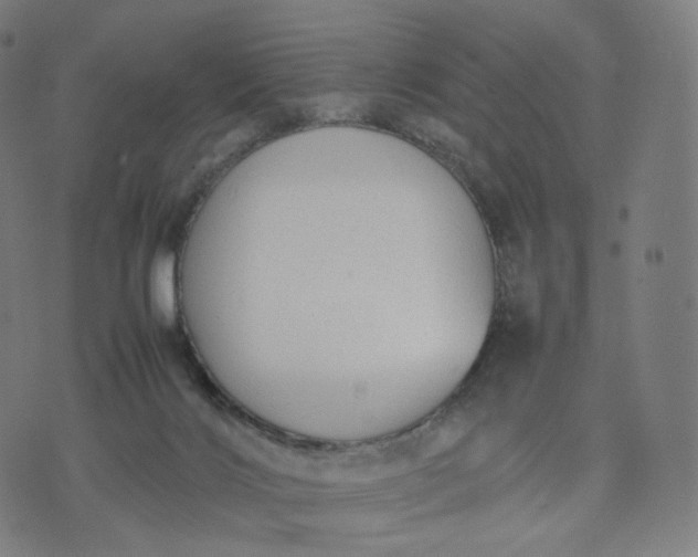 X0000070370028200606231658