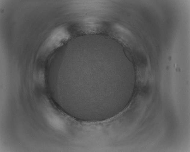 X0000070370029200606231658