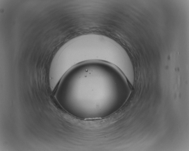 X0000070370030200606231658