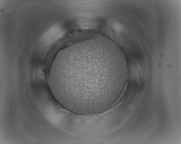 X0000070370033200606231658