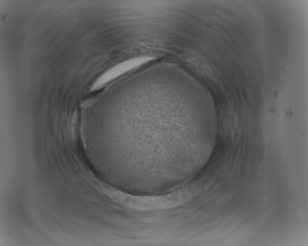 X0000070370034200606231658