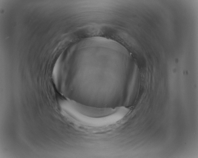 X0000070370035200606231658