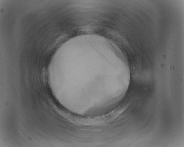 X0000070370036200606231658