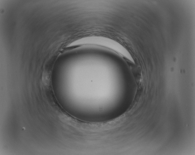 X0000070370037200606231658