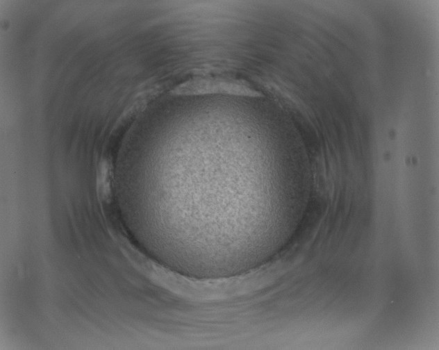 X0000070370038200606231658