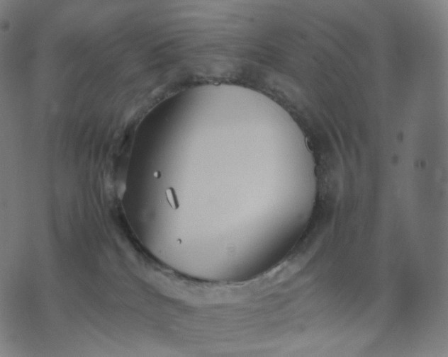 X0000070370040200606231658