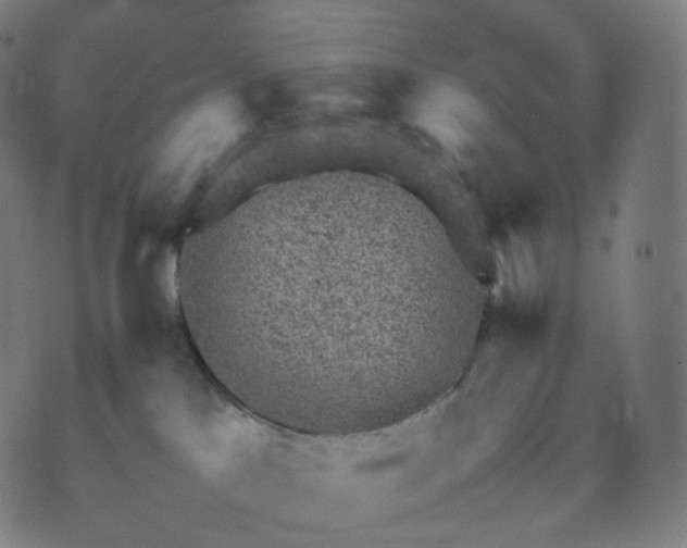 X0000070370041200606231658