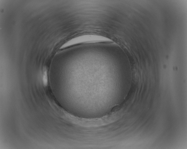 X0000070370042200606231658