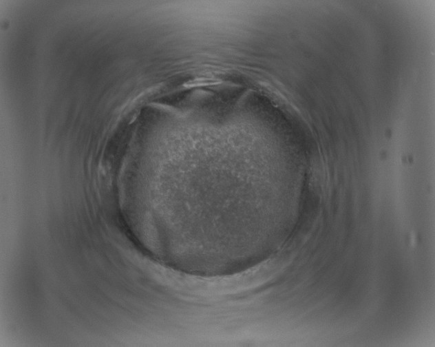 X0000070370043200606231658