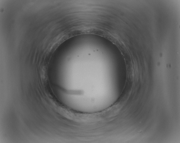 X0000070370044200606231658