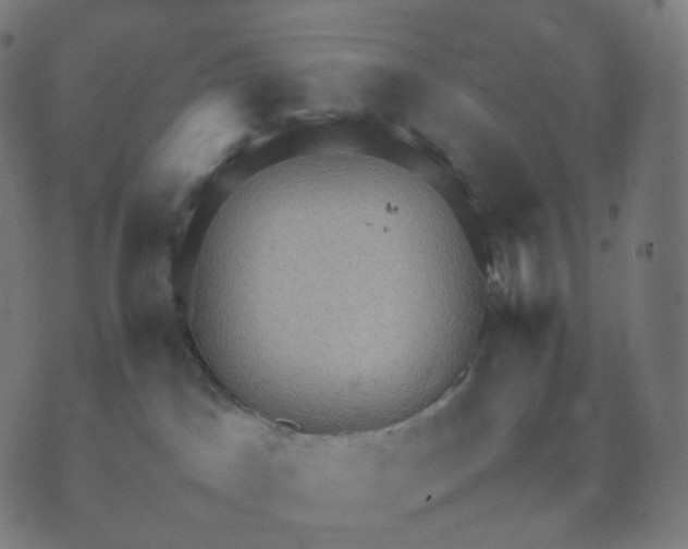 X0000070370045200606231658