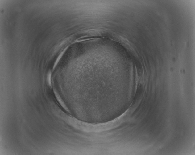 X0000070370047200606231658