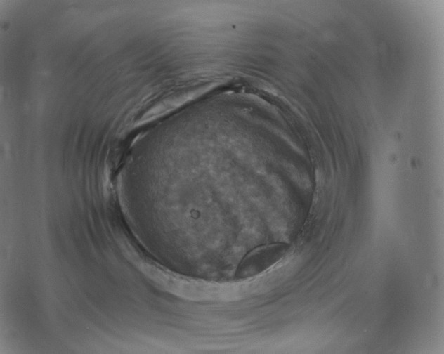 X0000070370048200606231658