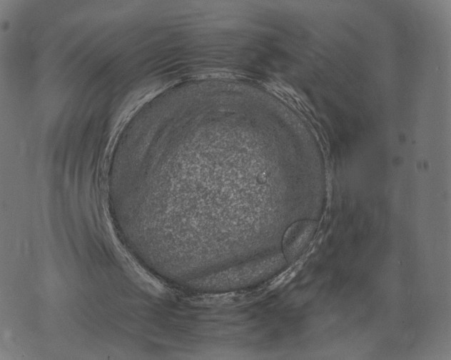 X0000070370049200606231657