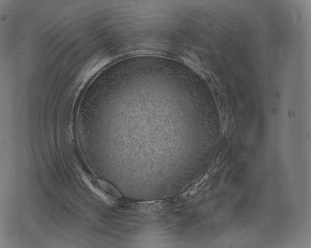 X0000070370050200606231657