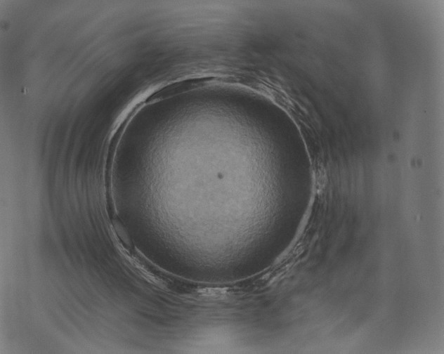 X0000070370052200606231657