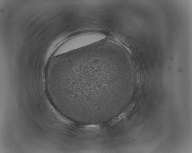 X0000070370053200606231657